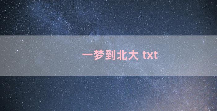 一梦到北大 txt